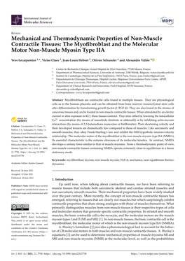 Mechanical and Thermodynamic Properties of Non-Muscle Contractile Tissues: the Myoﬁbroblast and the Molecular Motor Non-Muscle Myosin Type IIA