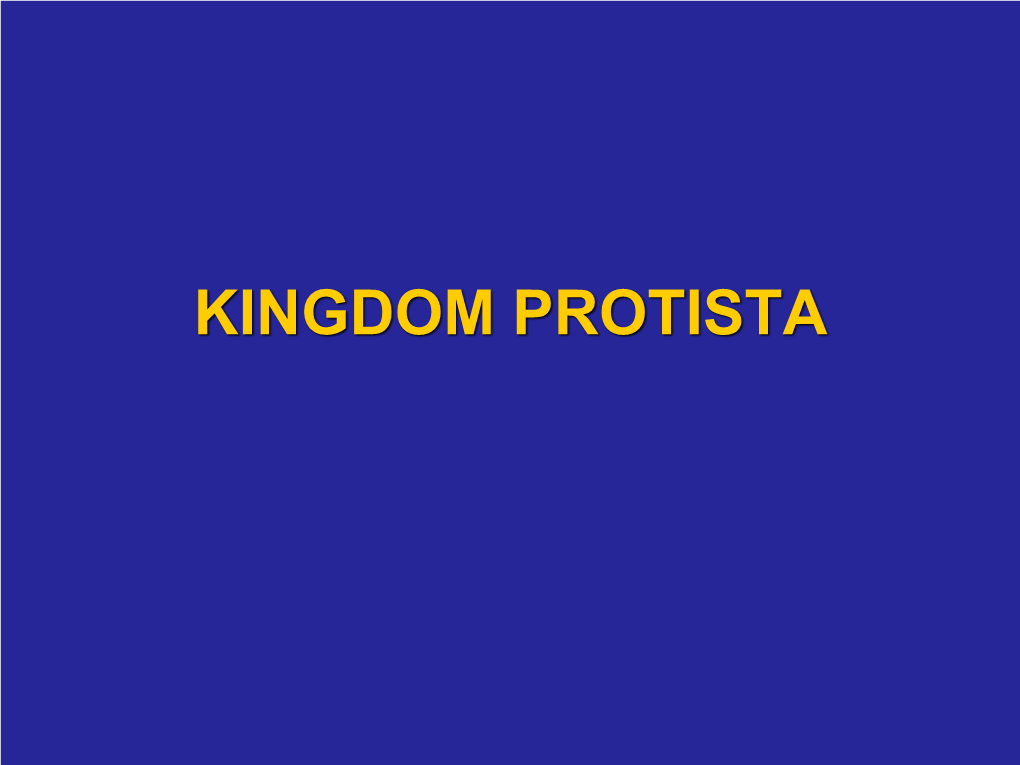 Kingdom Protista Protista