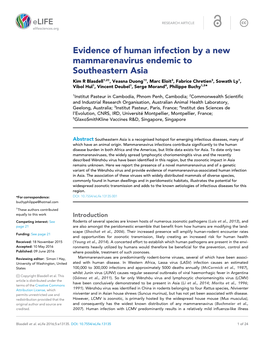 Evidence of Human Infection by a New Mammarenavirus Endemic