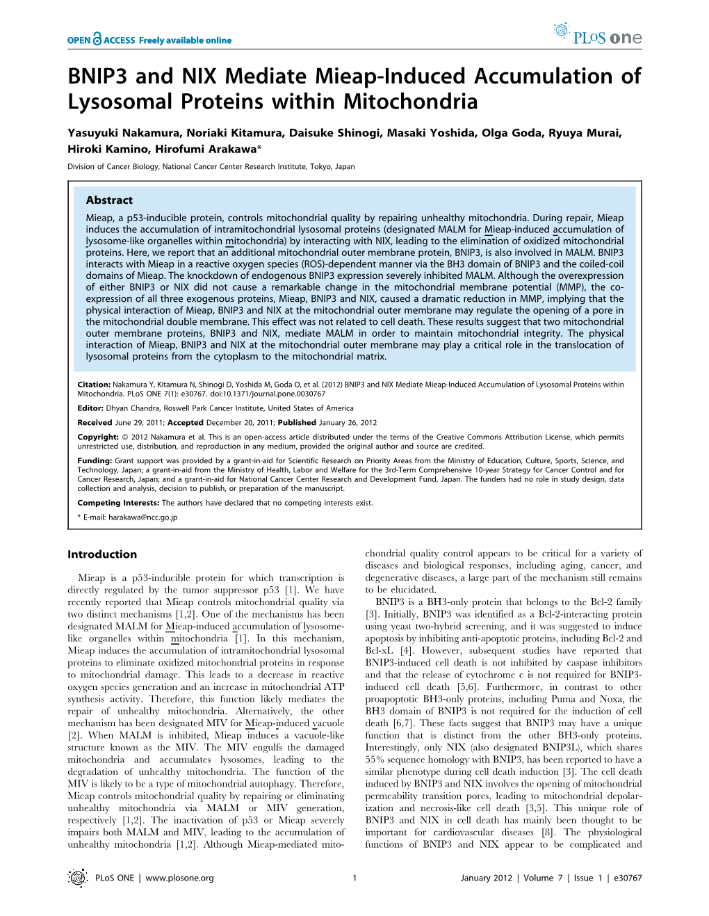 BNIP3 and NIX Mediate Mieap-Induced Accumulation of Lysosomal Proteins Within Mitochondria