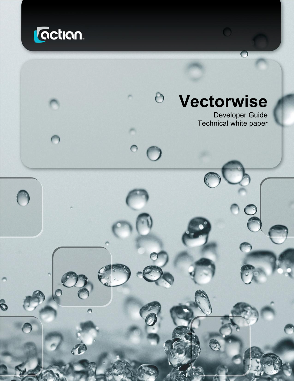 Vectorwise Developer Guide Technical White Paper