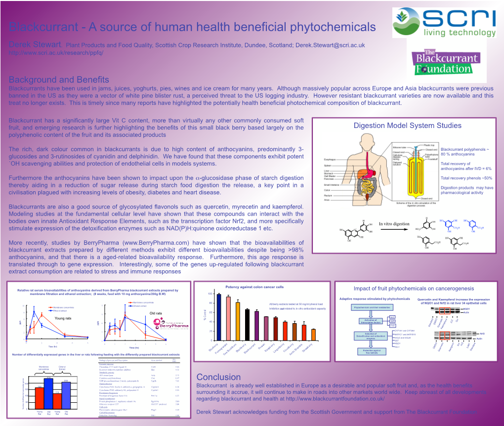 Blackcurrant - a Source of Human Health Beneficial Phytochemicals