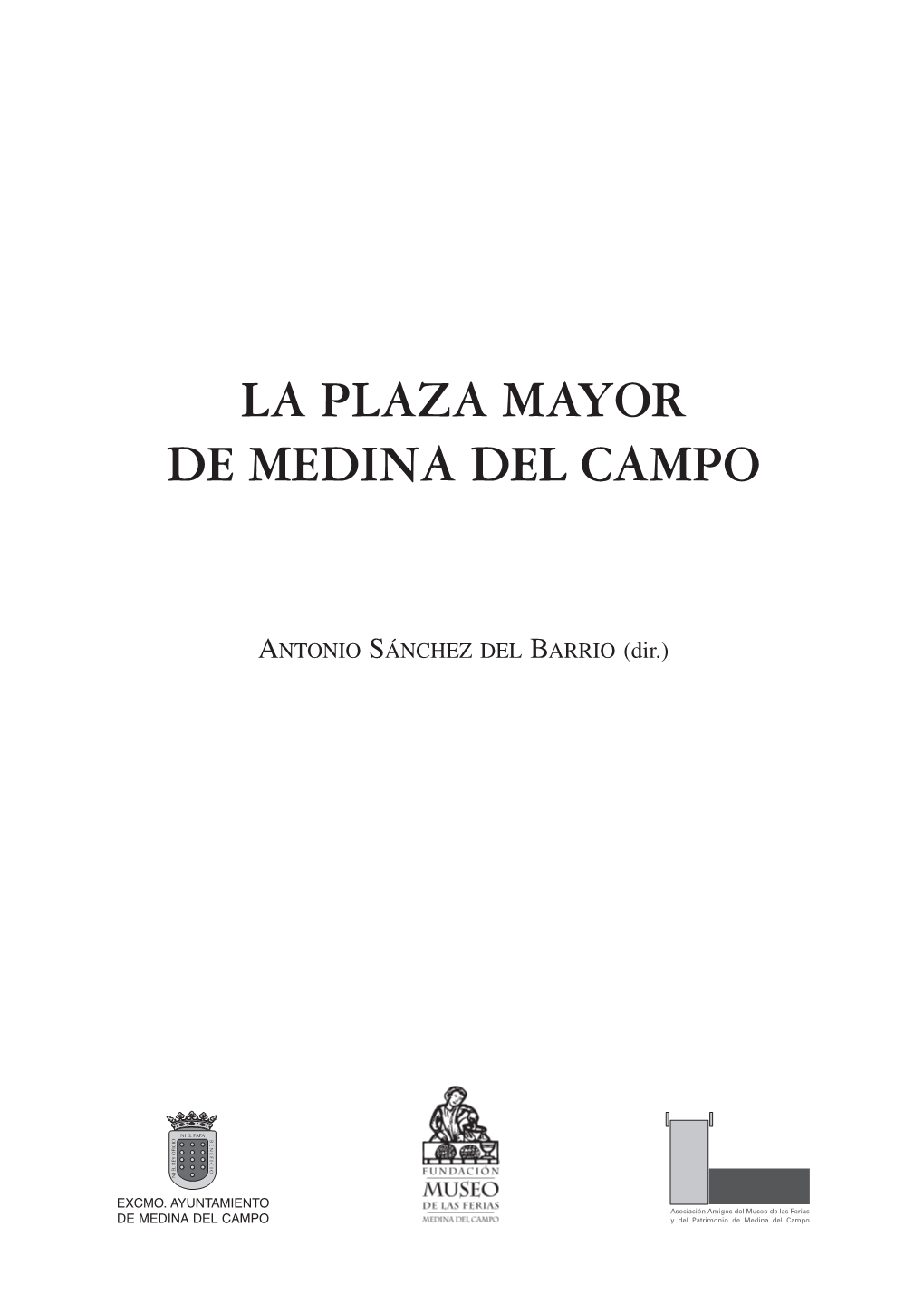 Plaza Mayor De Medina Del Campo