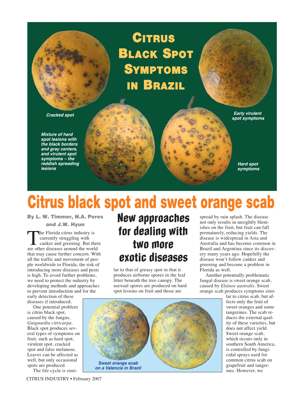 Citrus Black Spot and Sweet Orange Scab