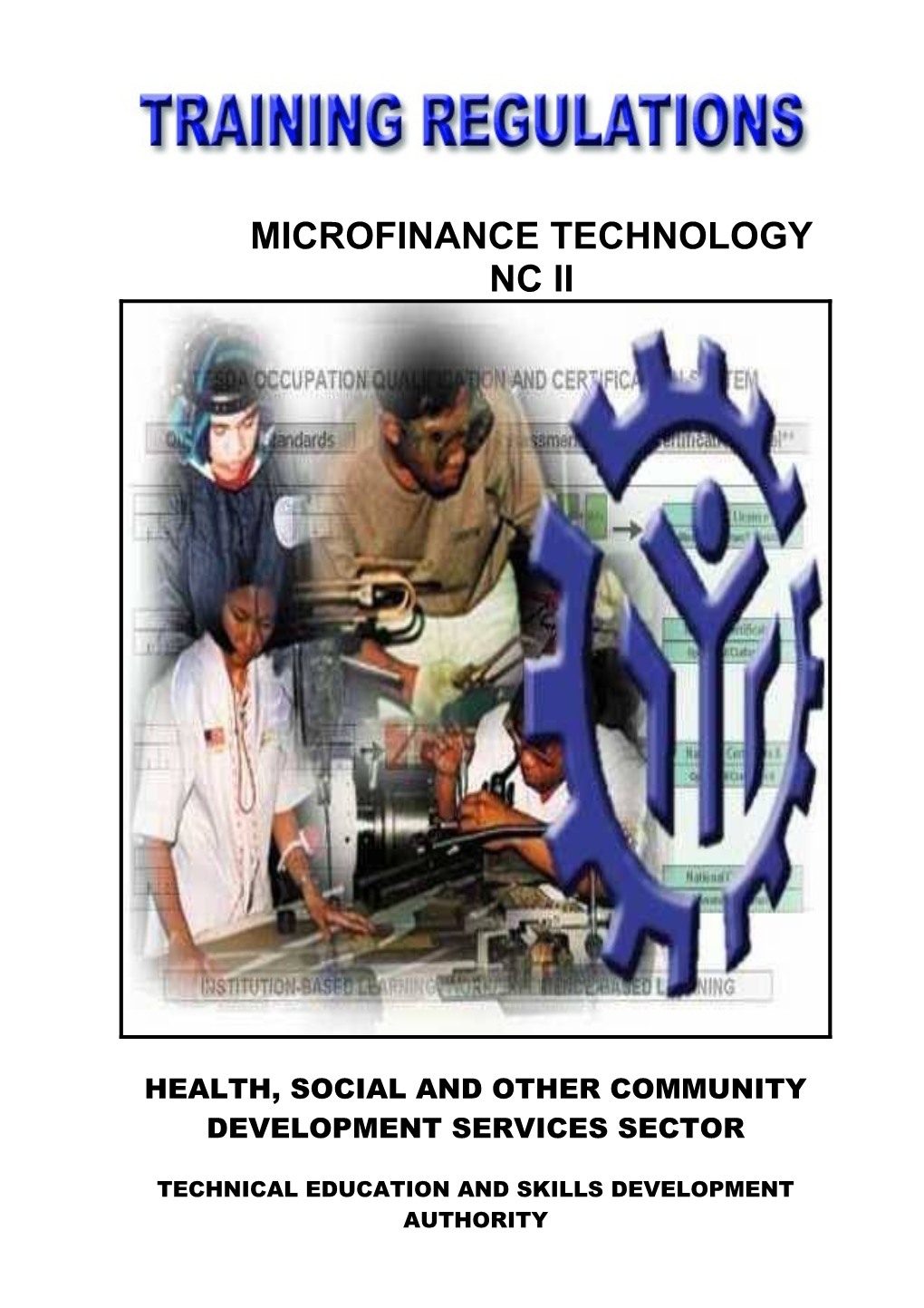 Health, Social and Other Community Development Services Sector