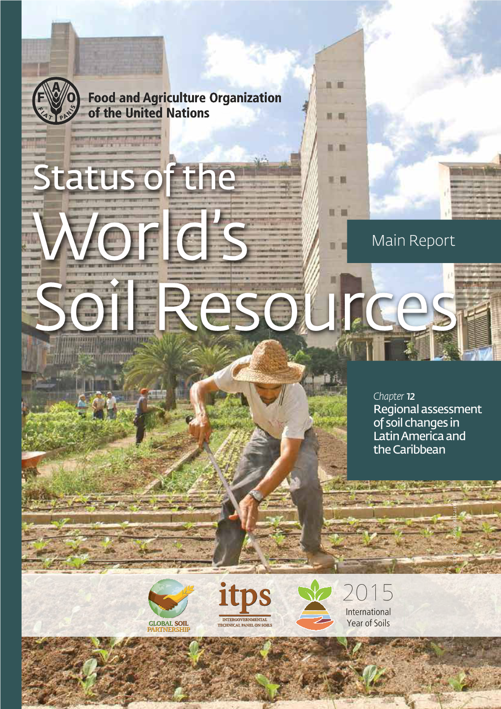 Chapter 12: Regional Assessment of Soil Changes in Latin America and the Caribbean