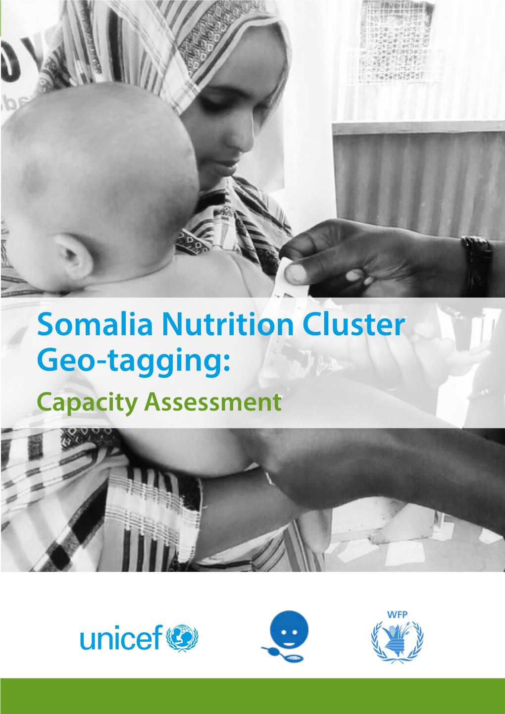 Somalia Nutrition Cluster Geo-Tagging: Capacity Assessment