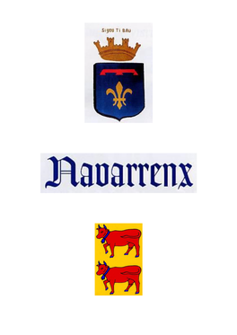 Les BASTIDES NAVARRENX