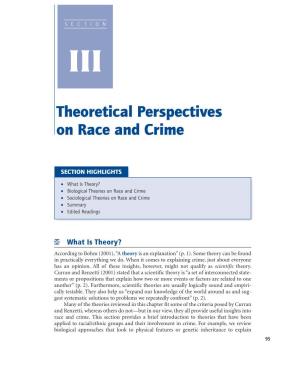 SECTION III Theoretical Perspectives on Race and Crime READING