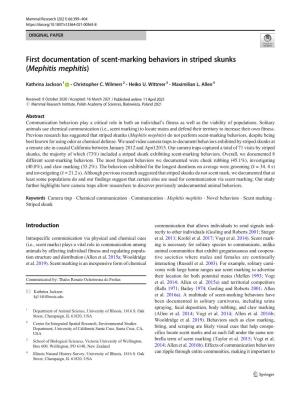 First Documentation of Scent-Marking Behaviors in Striped Skunks (Mephitis Mephitis)
