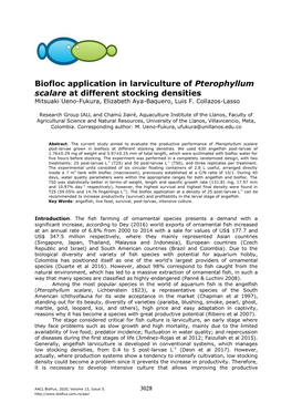 Biofloc Application in Larviculture of Pterophyllum Scalare at Different Stocking Densities Mitsuaki Ueno-Fukura, Elizabeth Aya-Baquero, Luis F