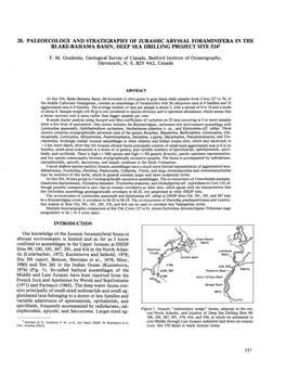 20. Paleoecology and Stratigraphy of Jurassic Abyssal Foraminifera in the Blake-Bahama Basin, Deep Sea Drilling Project Site 5341