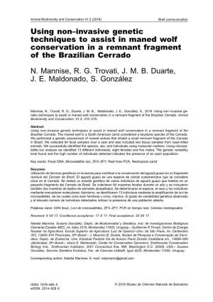 Using Non–Invasive Genetic Techniques to Assist in Maned Wolf Conservation in a Remnant Fragment of the Brazilian Cerrado
