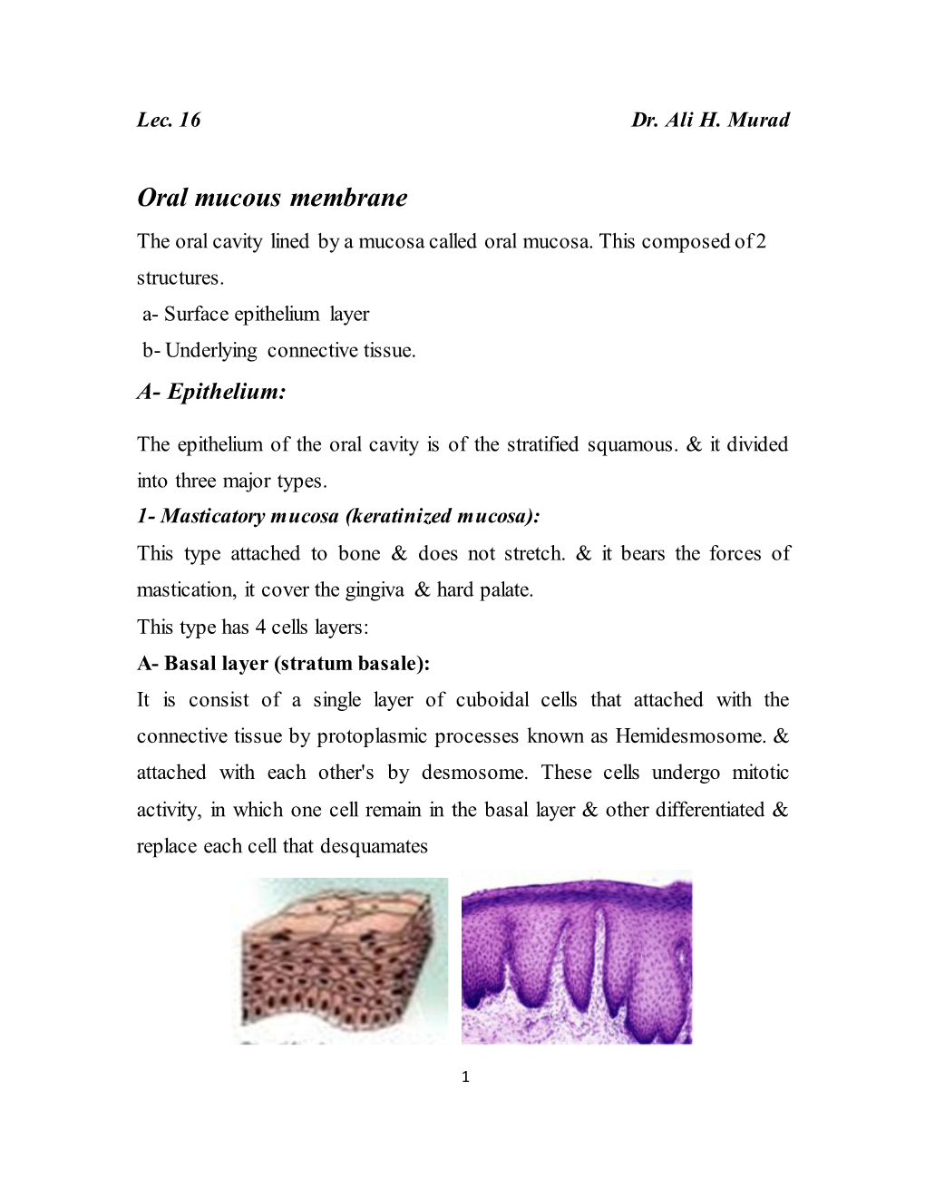 Oral Mucous Membrane the Oral Cavity Lined by a Mucosa Called Oral Mucosa