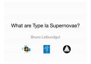 What Are Type Ia Supernovae?