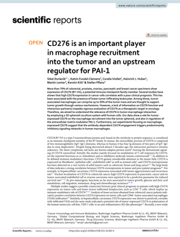 CD276 Is an Important Player in Macrophage Recruitment Into The