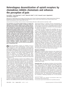 Heterologous Desensitization of Opioid Receptors by Chemokines Inhibits Chemotaxis and Enhances the Perception of Pain