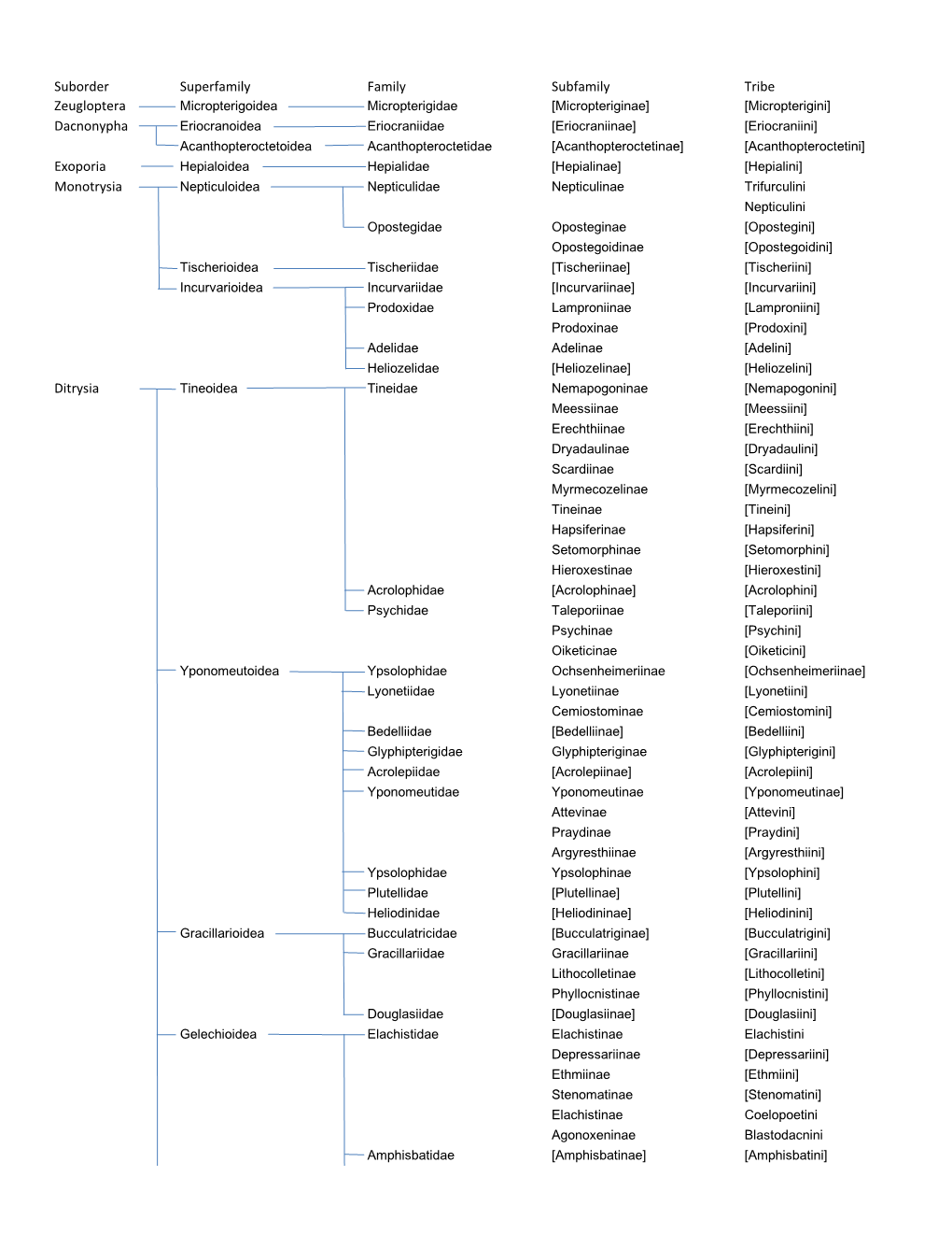 Moth Taxa Families.Pdf