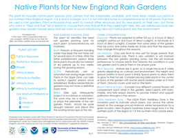 Native Plants for New England Rain Gardens