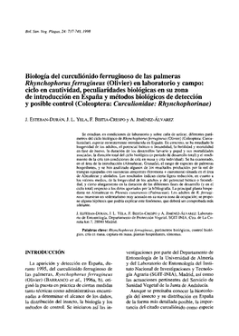 Biología Del Curculiónido Ferruginoso De Las Palmeras Rhynchophorus