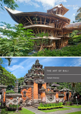 The Art of Bali | Overview