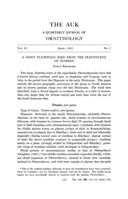 A Giant Flightless Bird from the Pleistocene of Florida