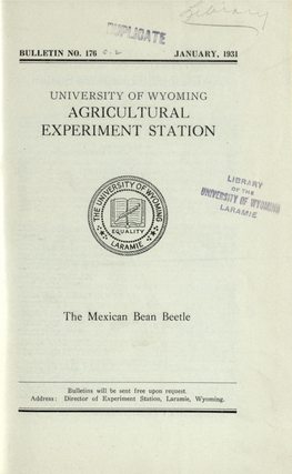 The Mexican Bean Beetle
