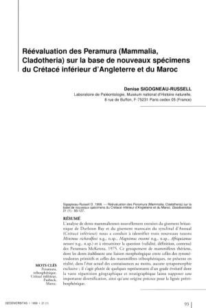 Mammalia, Cladotheria) Sur La Base De Nouveaux Spécimens Du Crétacé Inférieur D'angleterre Et Du Maroc