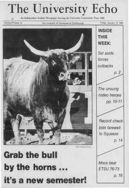 Grab the Bull by the Horns ... It's a New Semester!
