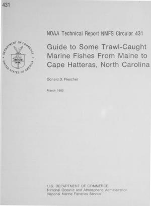Guide to Some Trawl-Caught Marine Fishes from Maine to Cape Hatteras, North Carolina