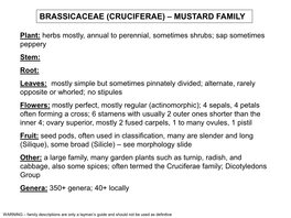 Brassicaceae (Cruciferae) – Mustard Family