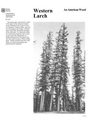 Western Larch, Which Is the Largest of the American Larches, Occurs Throughout the Forests of West- Ern Montana, Northern Idaho, and East- Ern Washington and Oregon
