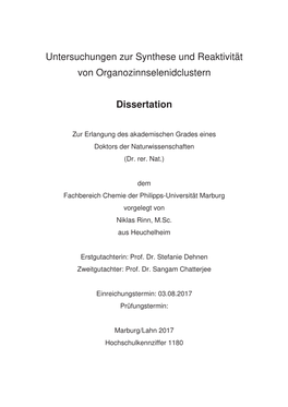 Dissertation Niklas Rinn