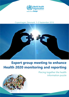 Expert Group Meeting to Enhance Health 2020 Monitoring and Reporting Piecing Together the Health Information Puzzle
