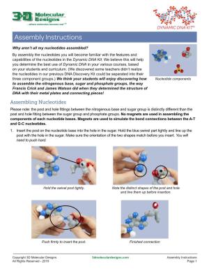 Dynamic DNA Kit© Assembly Instructions