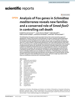 Analysis of Fox Genes in Schmidtea Mediterranea Reveals New Families
