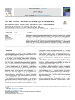 First Steps Towards Echinometra Lucunter Embryo Cryopreservation