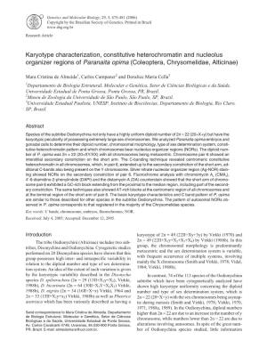 Karyotype Characterization, Constitutive Heterochromatin and Nucleolus Organizer Regions of Paranaita Opima (Coleoptera, Chrysomelidae, Alticinae)