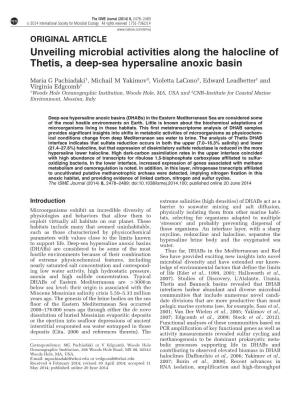 Unveiling Microbial Activities Along the Halocline of Thetis, a Deep-Sea Hypersaline Anoxic Basin