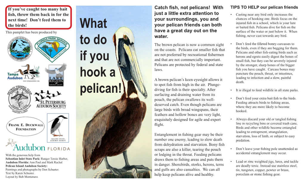 What to Do If You Hook a Pelican!