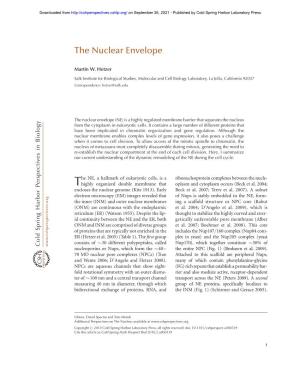 The Nuclear Envelope