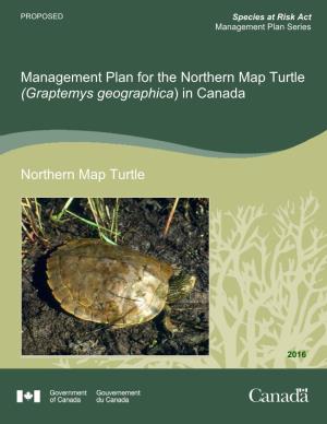 (Graptemys Geographica) in Canada Northern Map Turtle