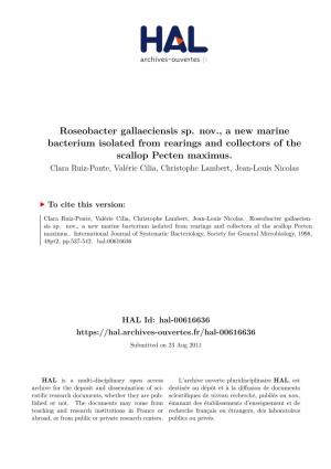 Roseobacter Gallaeciensis Sp. Nov., a New Marine Bacterium Isolated from Rearings and Collectors of the Scallop Pecten Maximus