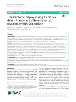 Transcriptome Display During Tilapia Sex Determination And