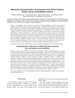 Molecular Characterization of Grapevine from Santa Catarina, Brazil, Using Microsatellite Markers