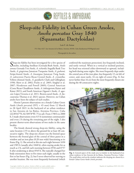 Sleep-Site Fidelity in Cuban Green