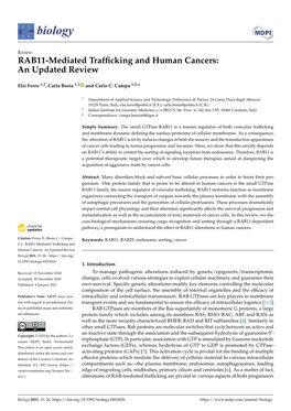 RAB11-Mediated Trafficking and Human Cancers: an Updated Review