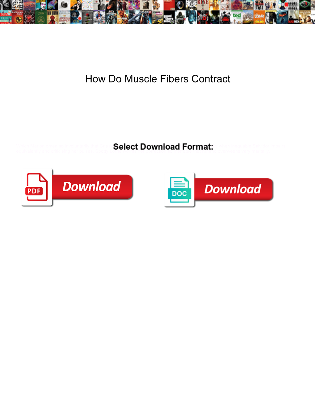 how-do-muscle-fibers-contract-docslib