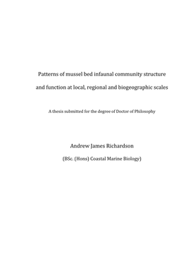 Patterns of Mussel Bed Infaunal Community Structure and Function at Local, Regional and Biogeographic Scales