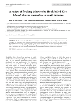 A Review of Flocking Behavior by Hook-Billed Kite, Chondrohierax Uncinatus, in South America